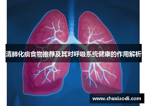 清肺化痰食物推荐及其对呼吸系统健康的作用解析