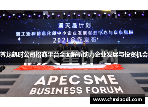 尊龙凯时公司招商平台全面解析助力企业发展与投资机会