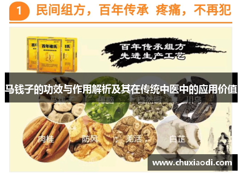 马钱子的功效与作用解析及其在传统中医中的应用价值